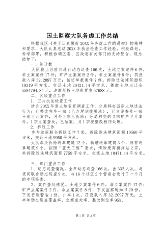 2024年国土监察大队务虚工作总结