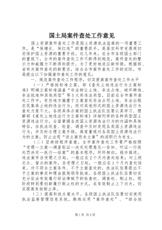 2024年国土局案件查处工作意见