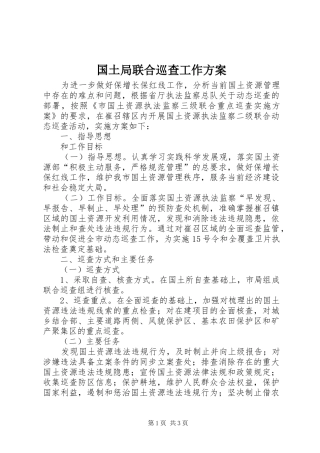 2024年国土局联合巡查工作方案