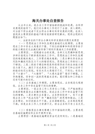 2024年海关办事处自查报告