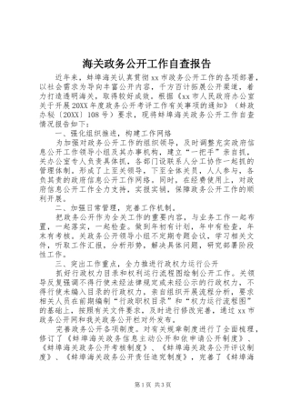 2024年海关政务公开工作自查报告