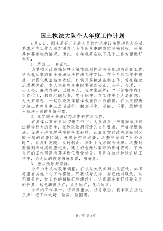2024年国土执法大队个人年度工作计划