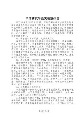 2024年旱情和抗旱救灾视察报告