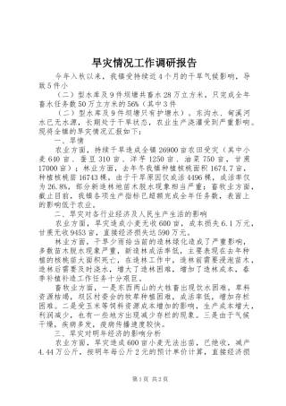 2024年旱灾情况工作调研报告