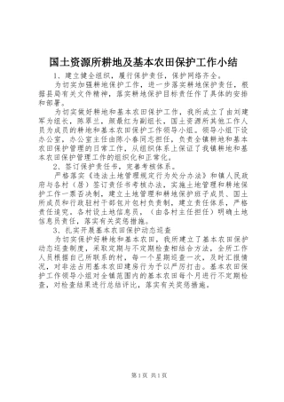 2024年国土资源所耕地及基本农田保护工作小结