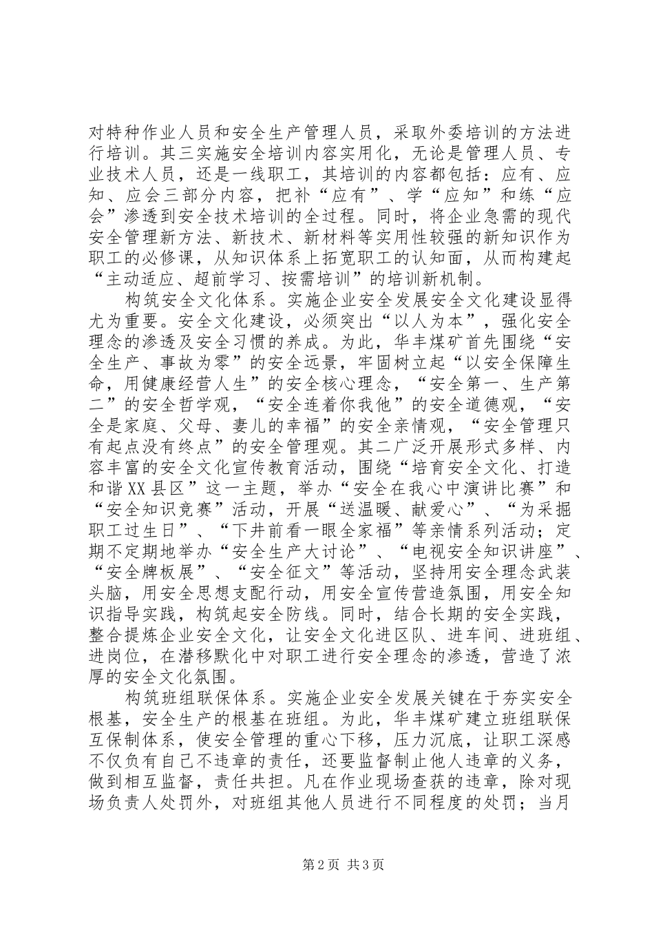 2024年国有煤矿实施安全发展战略关键在于构筑安全保障体系_第2页