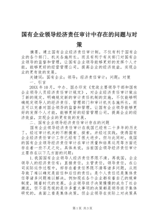 2024年国有企业领导经济责任审计中存在的问题与对策