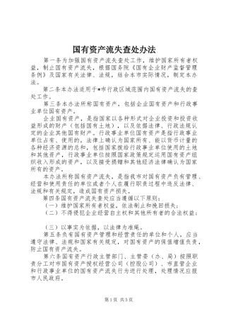 2024年国有资产流失查处办法