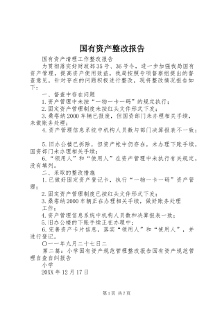 2024年国有资产整改报告