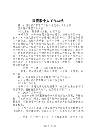 2024年国资股个人工作总结