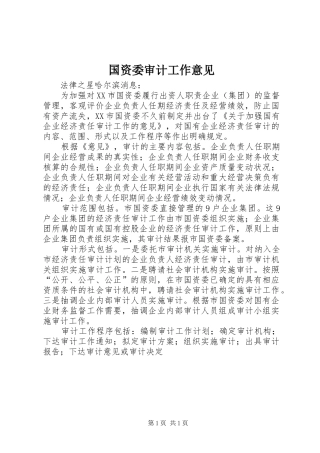 2024年国资委审计工作意见