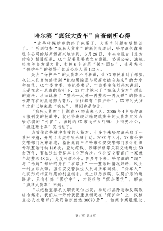 2024年哈尔滨疯狂大货车自查剖析心得