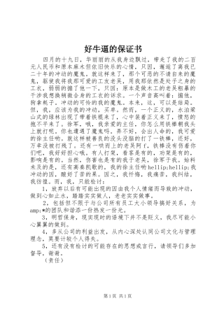 2024年好牛逼的保证书