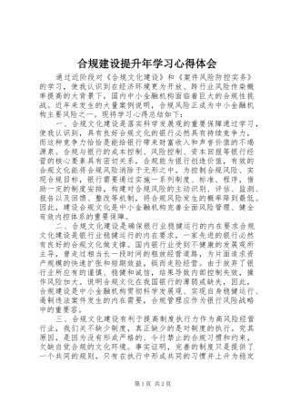 2024年合规建设提升年学习心得体会