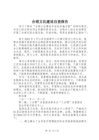 2024年合理文化建设自查报告