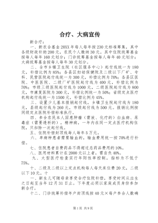 2024年合疗大病宣传