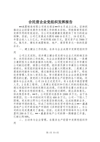 2024年合民营企业党组织发挥报告
