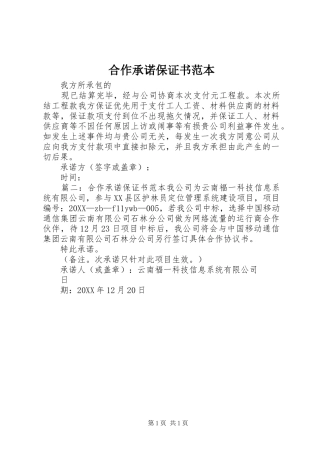 2024年合作承诺保证书范本