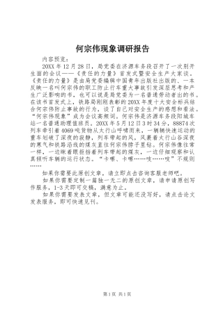 2024年何宗伟现象调研报告