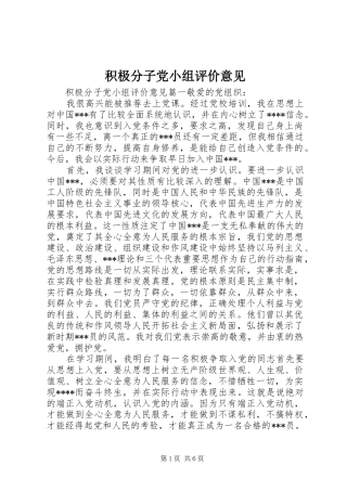 2024年积极分子党小组评价意见