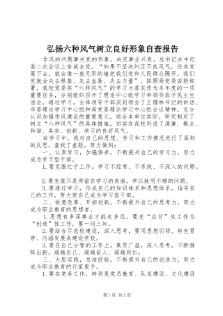 2024年弘扬六种风气树立良好形象自查报告