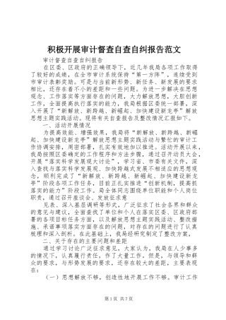 2024年积极开展审计督查自查自纠报告范文