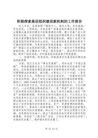 2024年积极探索基层组织建设新机制的工作报告