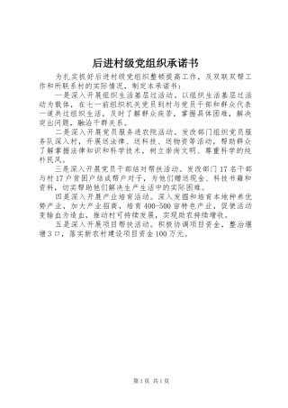 2024年后进村级党组织承诺书