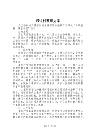 2024年后进村整顿方案