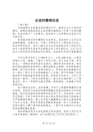 2024年后进村整顿信息