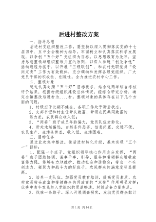 2024年后进村整改方案