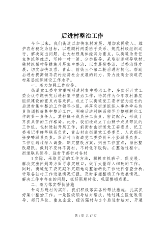 2024年后进村整治工作
