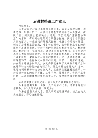2024年后进村整治工作意见