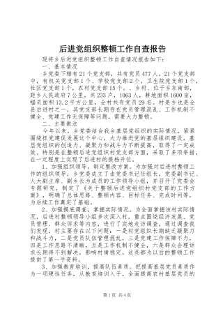 2024年后进党组织整顿工作自查报告