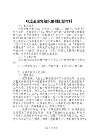 2024年后进基层党组织整顿汇报材料