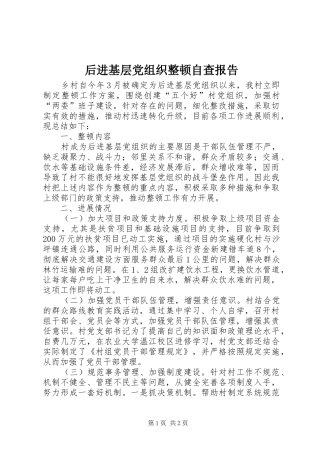 2024年后进基层党组织整顿自查报告