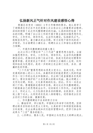 2024年弘扬新风正气针对作风建设感悟心得