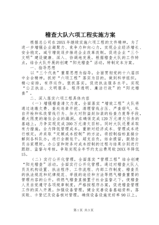 2024年稽查大队六项工程实施方案