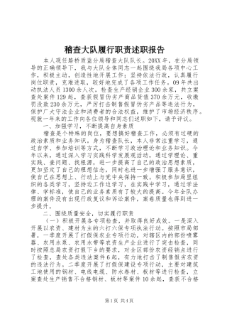 2024年稽查大队履行职责述职报告