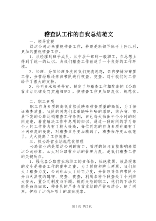 2024年稽查队工作的自我总结范文