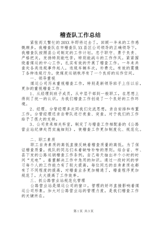 2024年稽查队工作总结