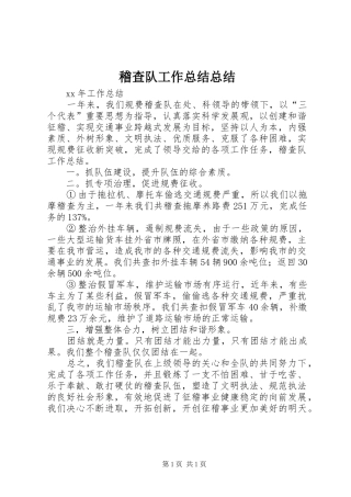 2024年稽查队工作总结总结