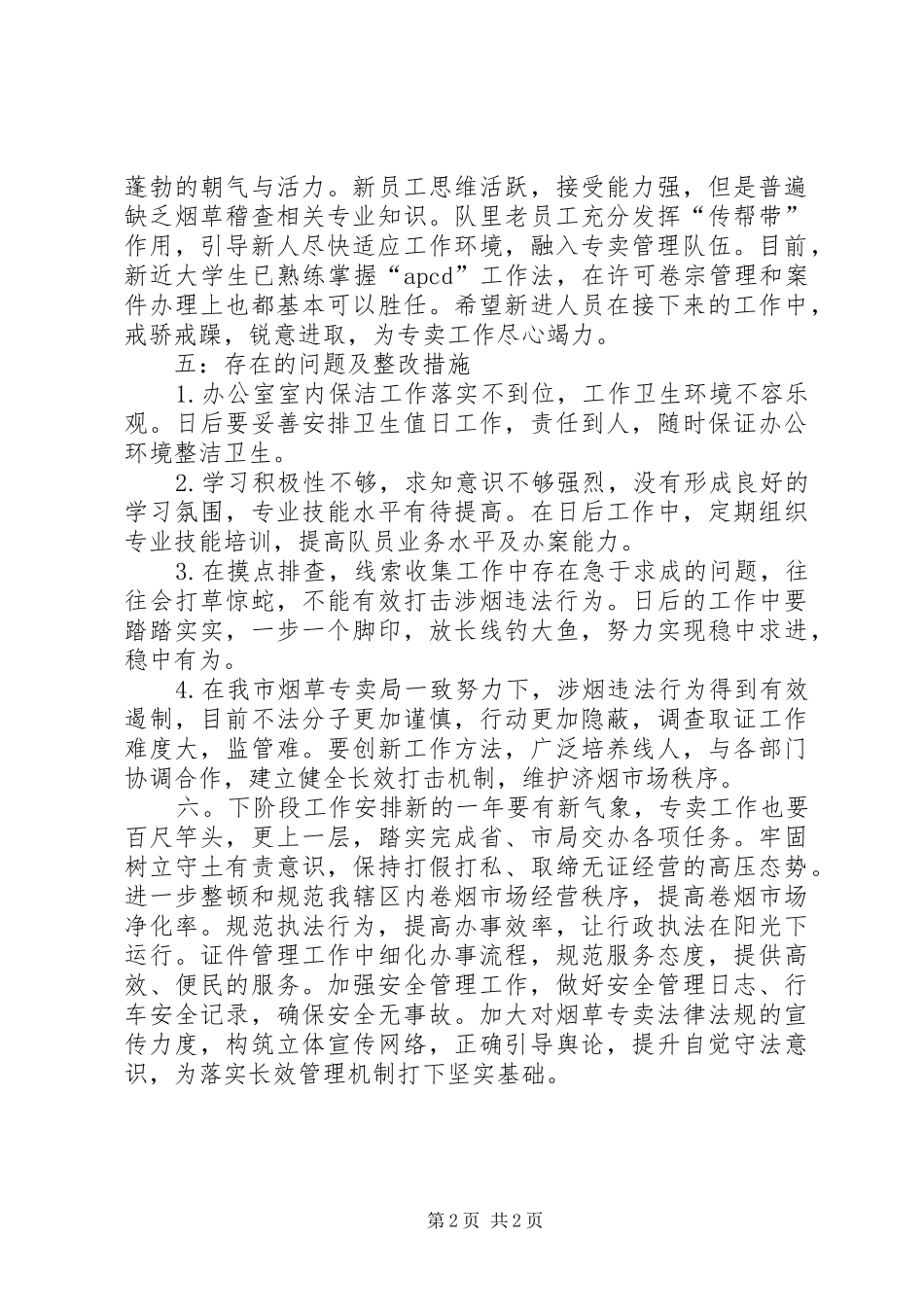 2024年稽查队全年工作总结_第2页