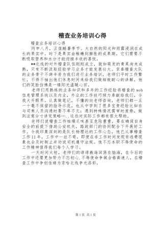 2024年稽查业务培训心得