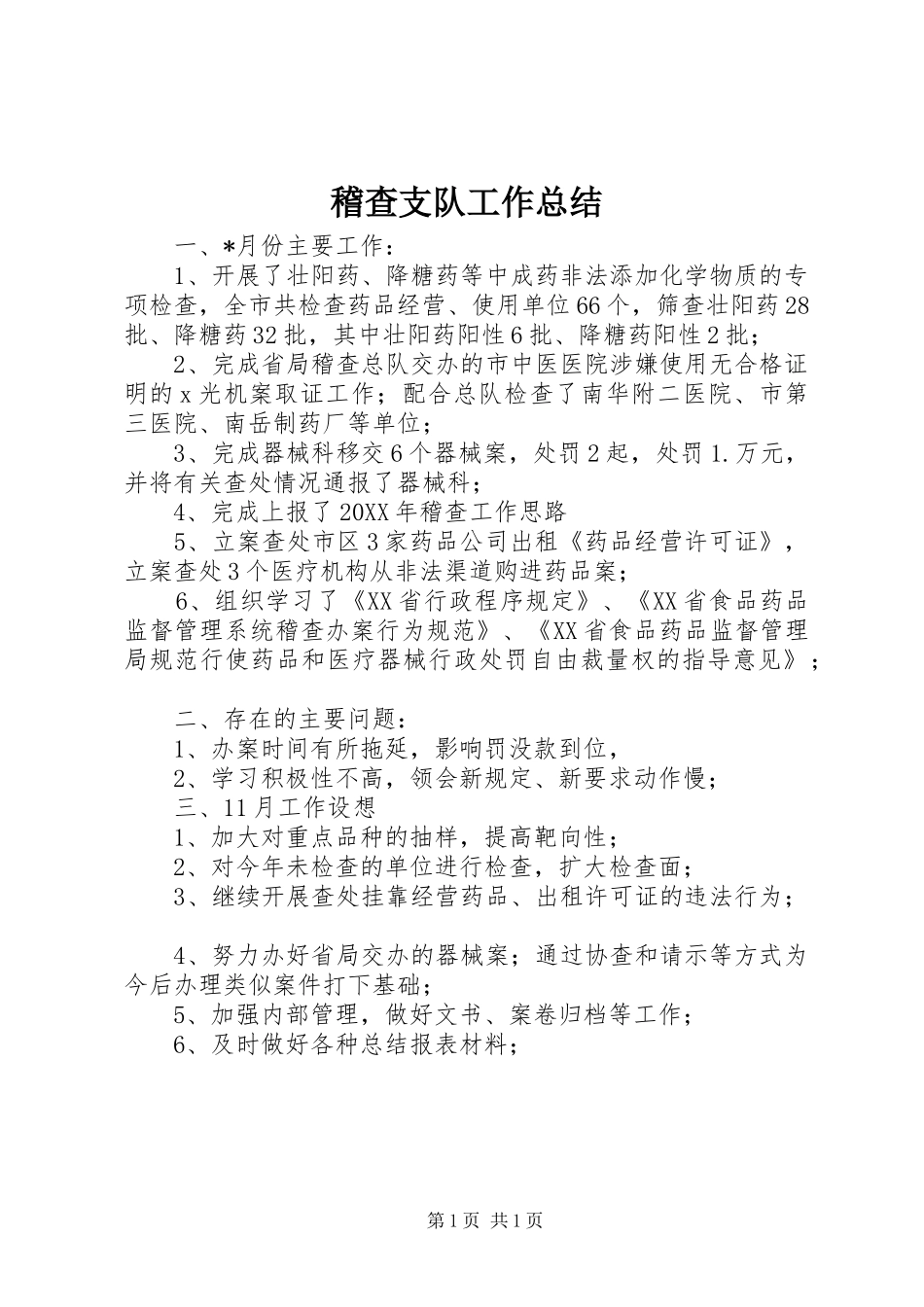 2024年稽查支队工作总结_第1页