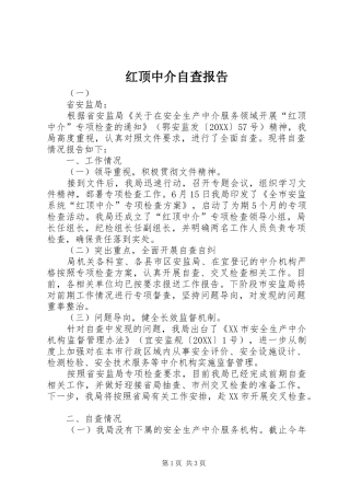 2024年红顶中介自查报告