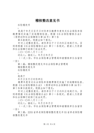 2024年稽核整改意见书