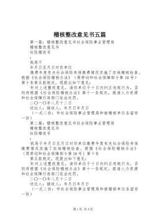 2024年稽核整改意见书五篇