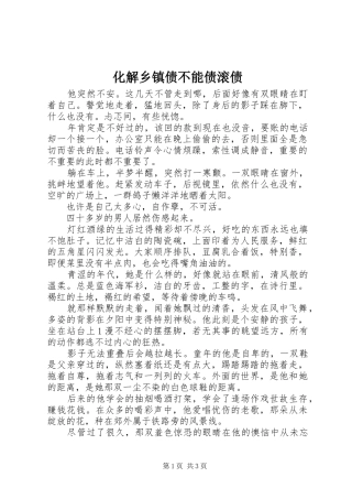 2024年化解乡镇债不能债滚债