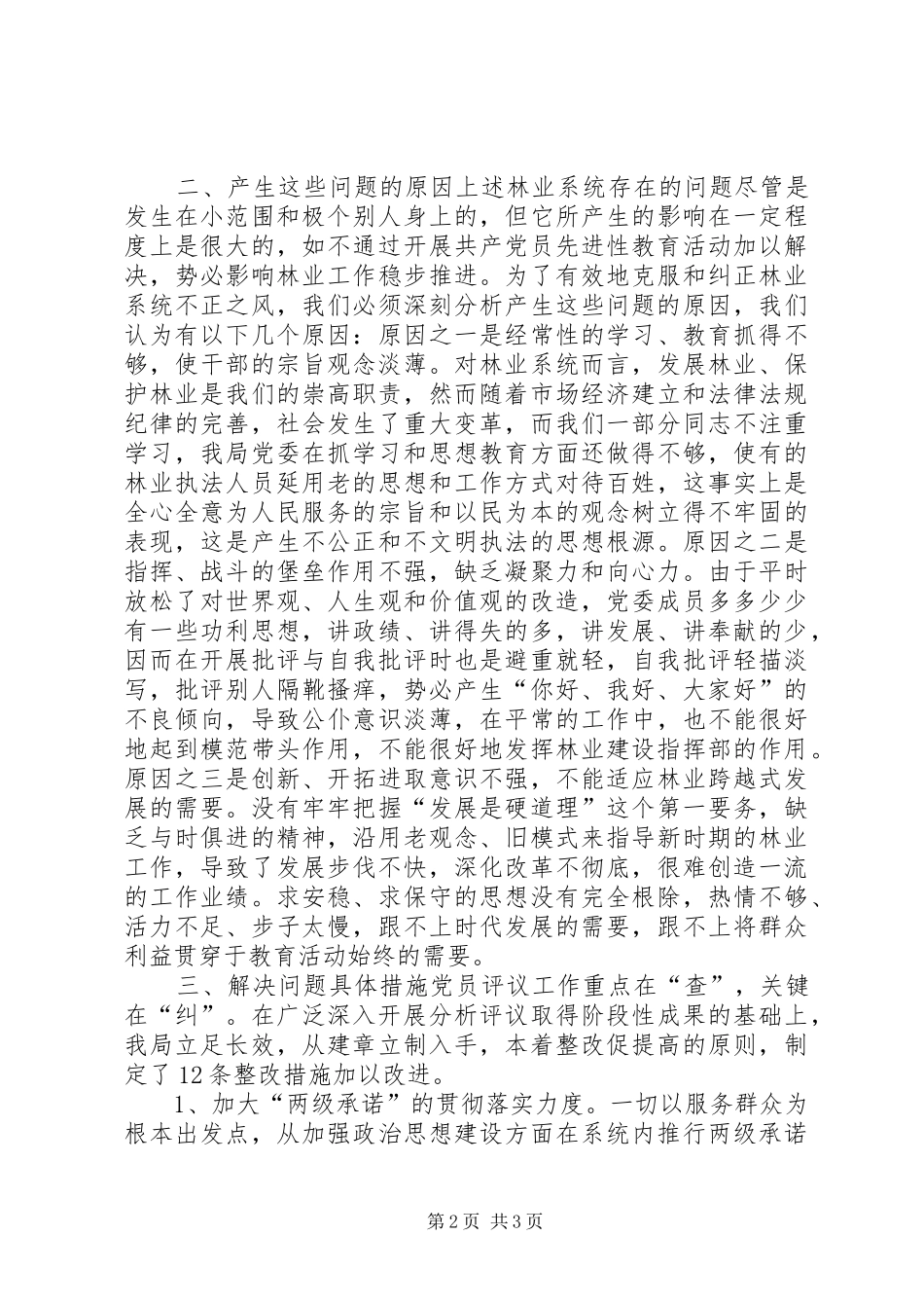 2024年集体党性分析材料_第2页